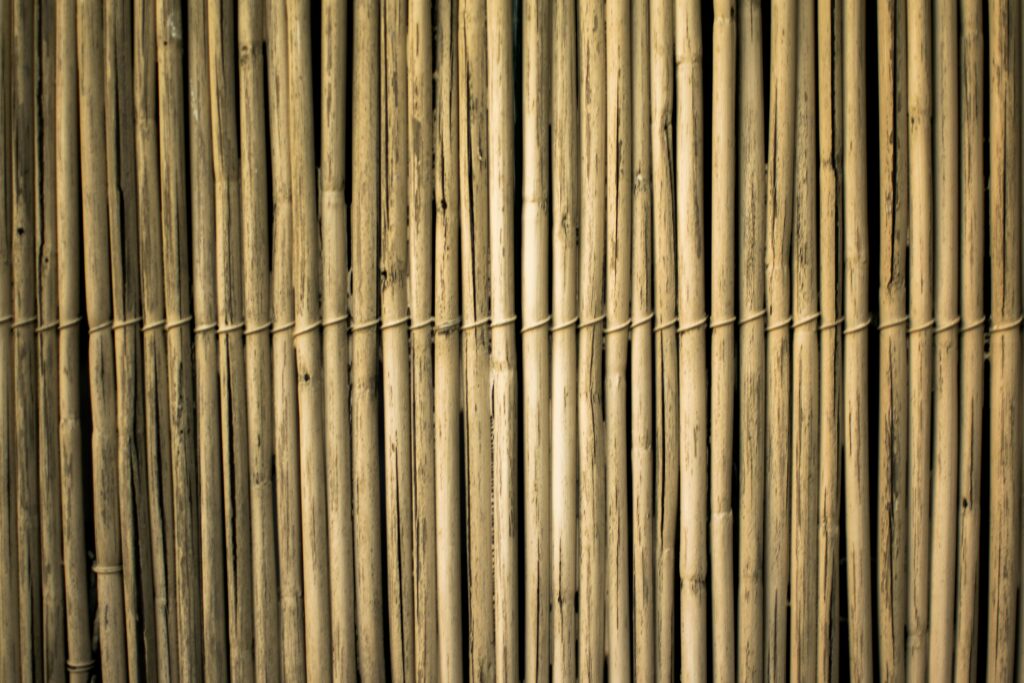 bamboo, material