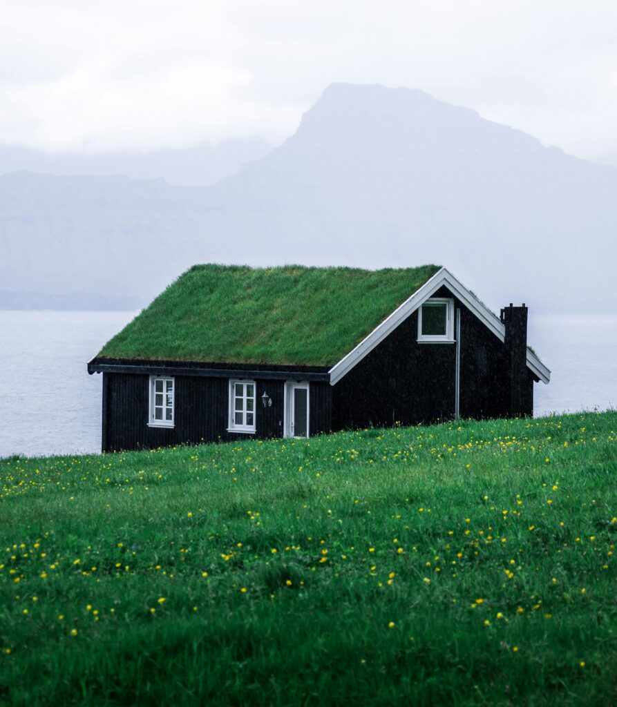 green roof, green design